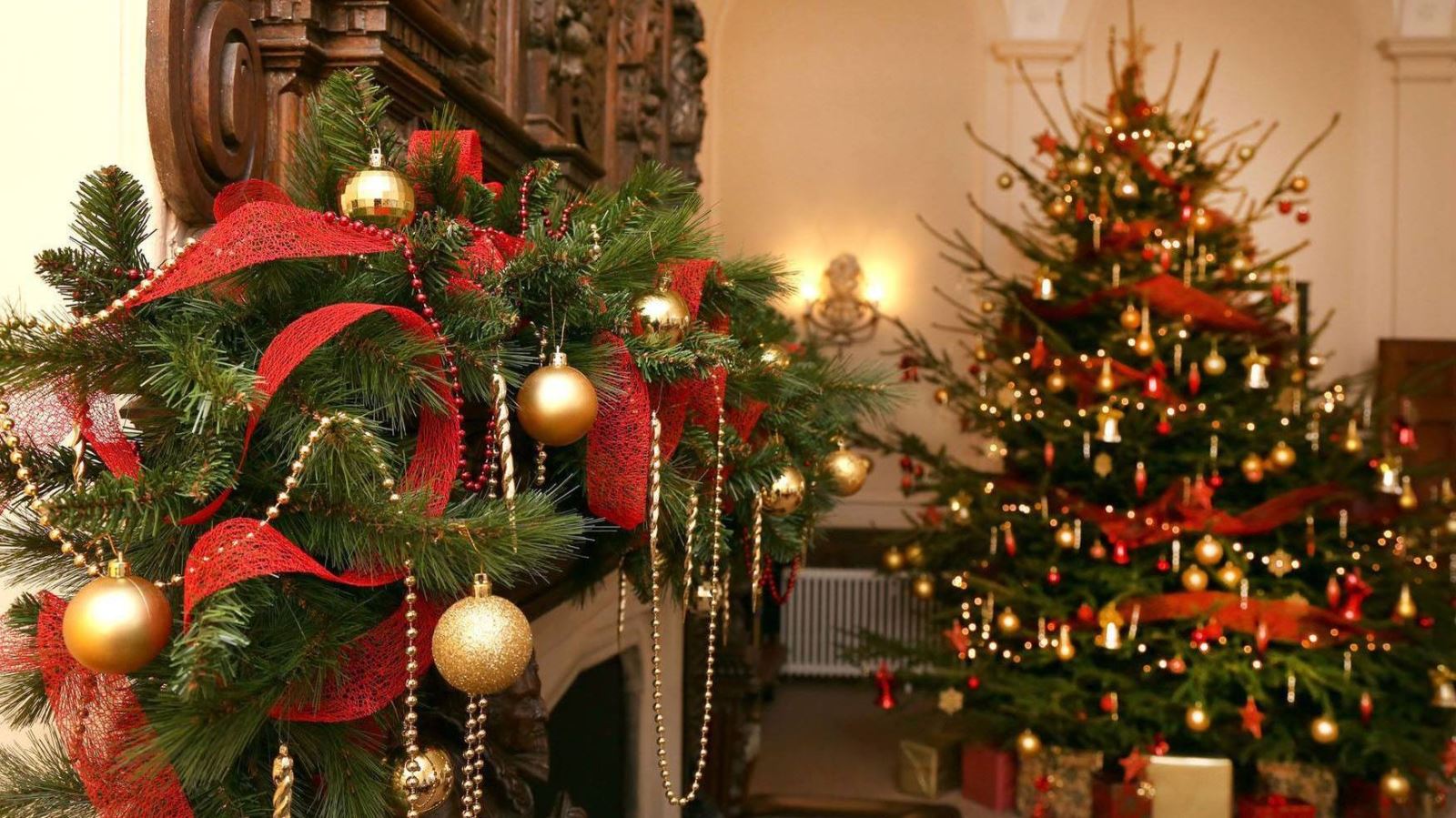 Christmas wreath and tree
